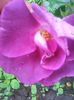 Photo0248