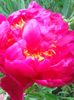 Photo0250