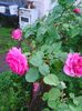 Photo0253
