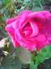 Photo0254