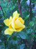 Photo0259