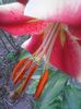 Photo0275