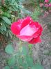 Photo0280