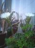 Photo0293