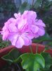 Photo0301