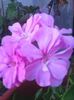 Photo0302