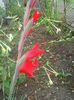 Photo0309
