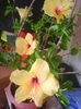 Photo0314