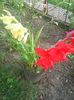 Photo0318