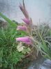Photo0323