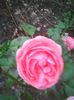 Photo0326