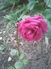 Photo0327