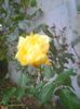 Photo0328