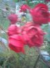 Photo0329