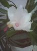 Photo0332