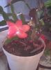 Photo0336