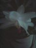 Photo0337