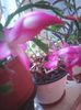 Photo0341