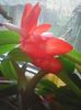 Photo0344