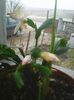 Photo0354
