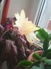 Photo0356