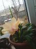 Photo0357
