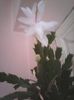 Photo0358