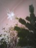 Photo0359