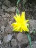 Photo0367