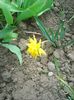Photo0371