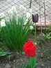 Photo0372