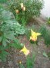 Photo0374