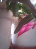 Photo0375