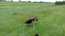 ARKA