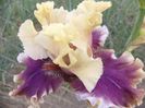 Iris Temple spirit