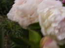P1340103