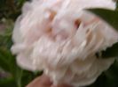 P1340105
