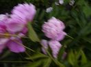 P1340134