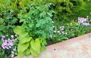 20170516_120405 (3)
