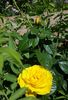 20170518_121244 (2)