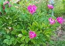 20170520_104255 (5)