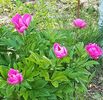 20170520_104305 (4)