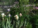 Un colt din Gradina Soaptelor