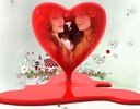 gemenele bella