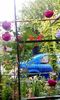 orca-image-1495683471912.jpg_1495683472389