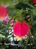 received_244722799329699