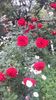 20170527_104856 - Copy