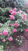 20170527_104915 - Copy