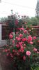 20170527_105721 - Copy