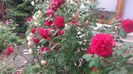 20170527_105822 - Copy